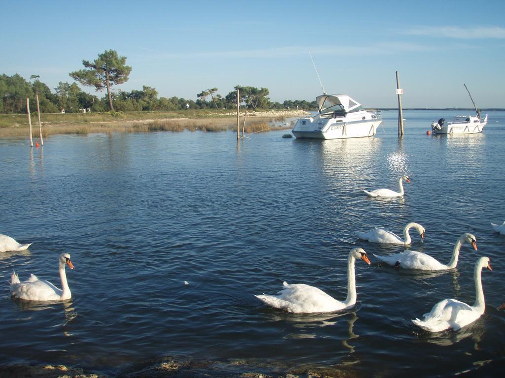 Les Marinas de Cassy Lanton Exterior foto